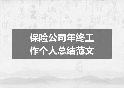 保险公司年终工作个人总结范文