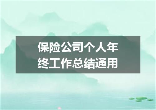保险公司个人年终工作总结通用