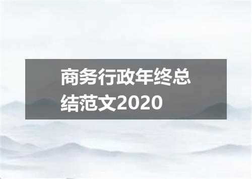 商务行政年终总结范文2020