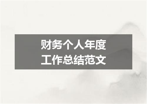 财务个人年度工作总结范文