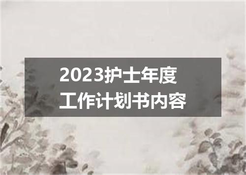2023护士年度工作计划书内容