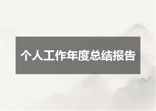 个人工作年度总结报告