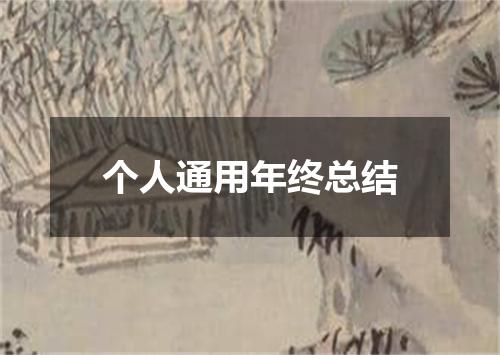 个人通用年终总结