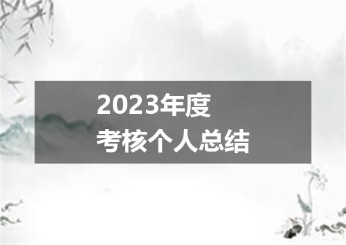 2023年度考核个人总结