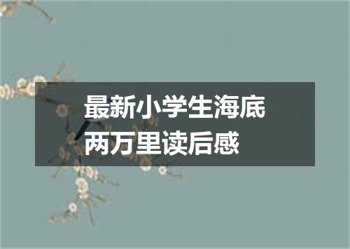 最新小学生海底两万里读后感