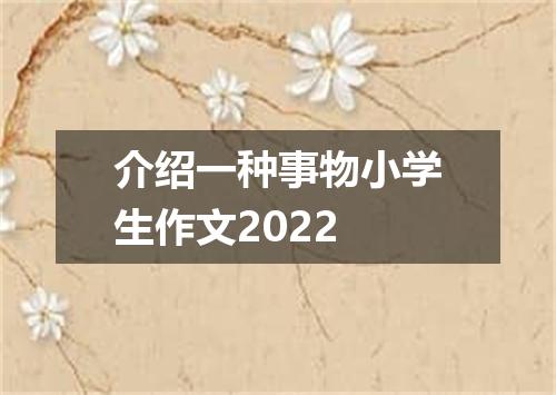 介绍一种事物小学生作文2022