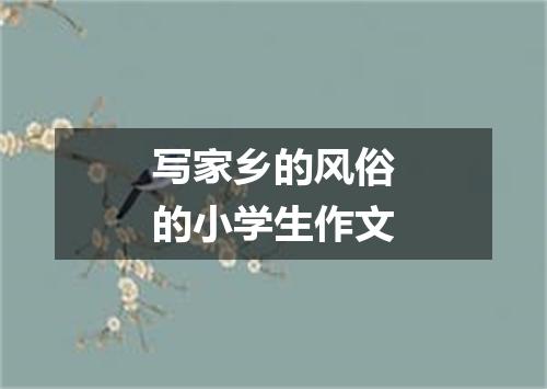 写家乡的风俗的小学生作文