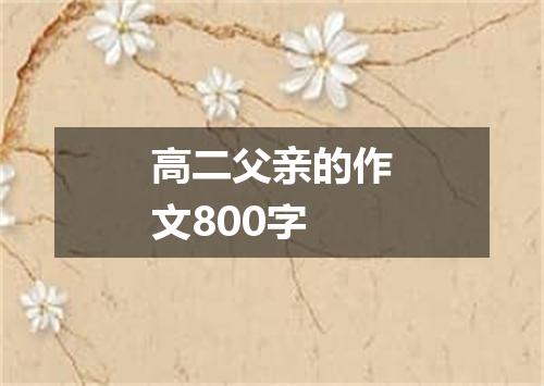 高二父亲的作文800字