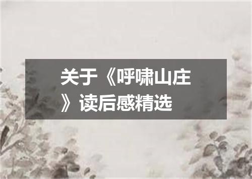 关于《呼啸山庄》读后感精选