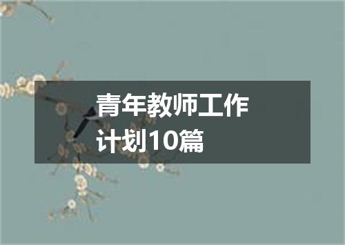 青年教师工作计划10篇