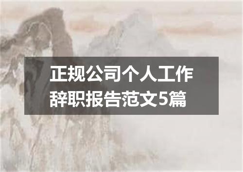 正规公司个人工作辞职报告范文5篇