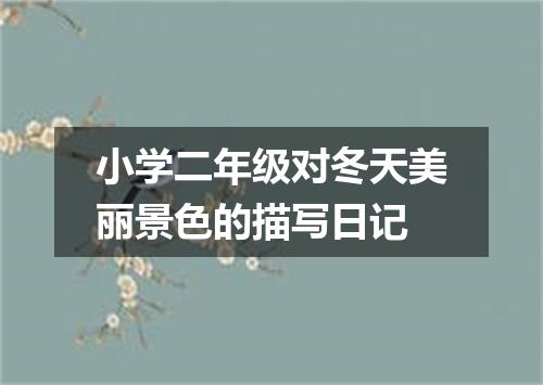 小学二年级对冬天美丽景色的描写日记