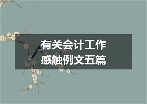 有关会计工作感触例文五篇