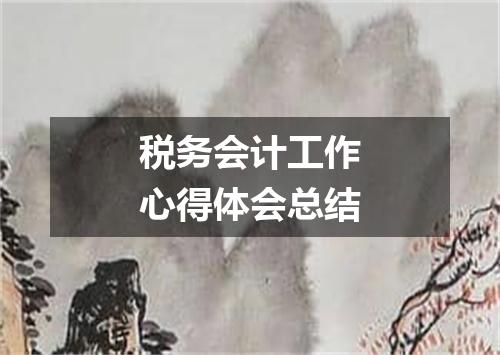 税务会计工作心得体会总结