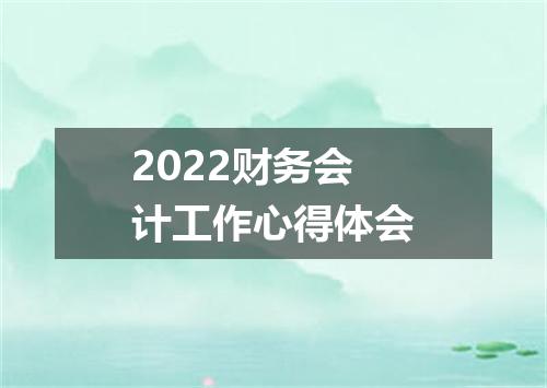 2022财务会计工作心得体会