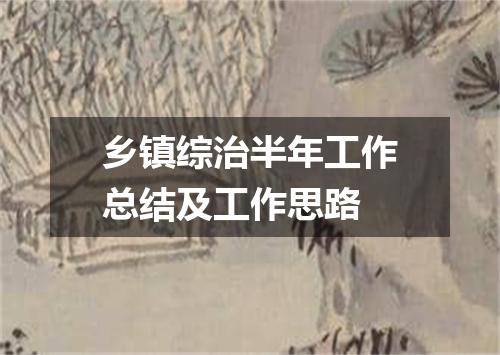 乡镇综治半年工作总结及工作思路