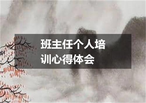 班主任个人培训心得体会