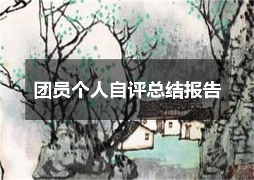 团员个人自评总结报告