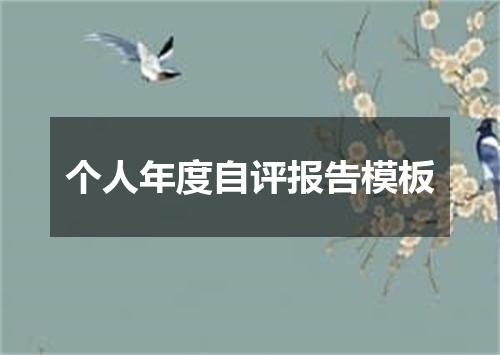 个人年度自评报告模板