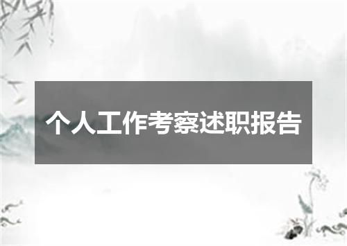 个人工作考察述职报告