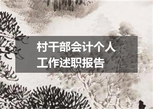 村干部会计个人工作述职报告