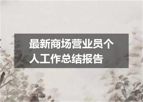最新商场营业员个人工作总结报告