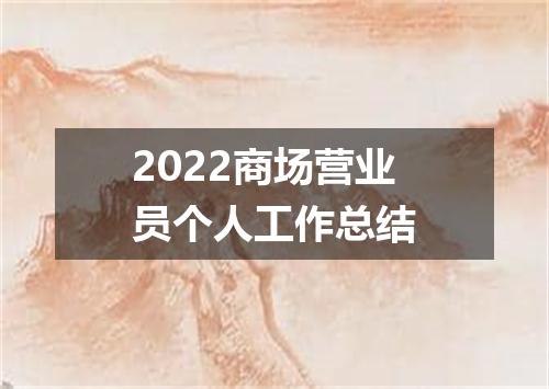 2022商场营业员个人工作总结