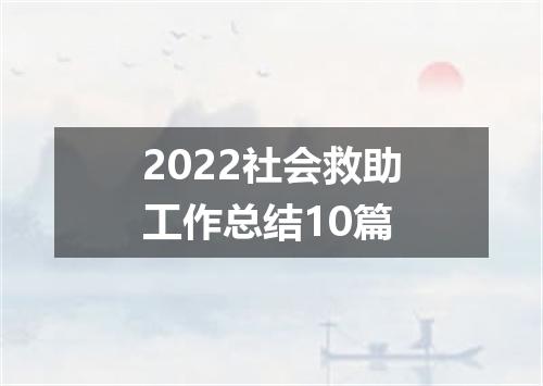 2022社会救助工作总结10篇