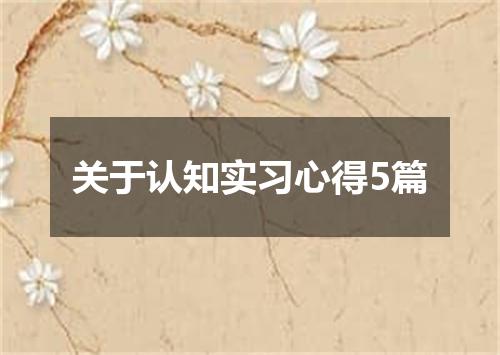 关于认知实习心得5篇