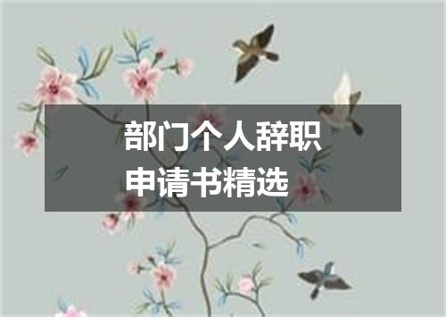 部门个人辞职申请书精选