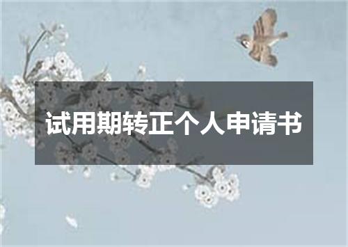 试用期转正个人申请书