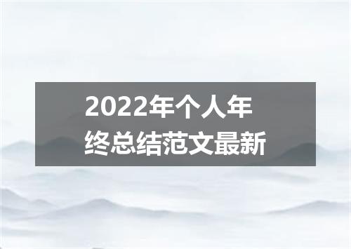 2022年个人年终总结范文最新