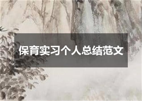 保育实习个人总结范文