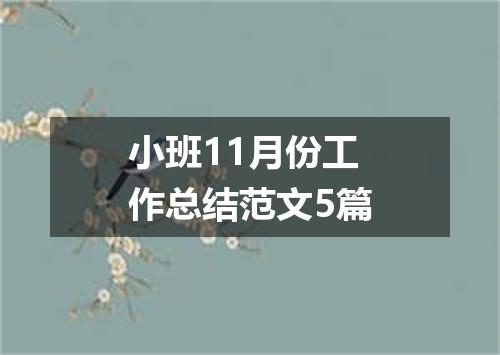 小班11月份工作总结范文5篇