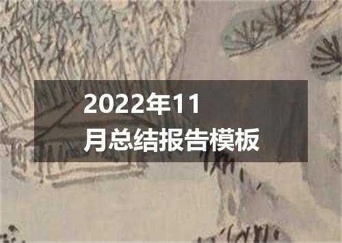 2022年11月总结报告模板