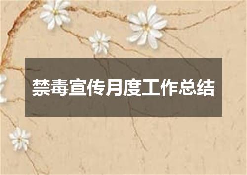 禁毒宣传月度工作总结