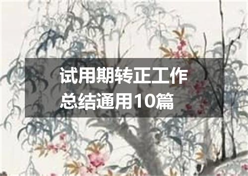 试用期转正工作总结通用10篇