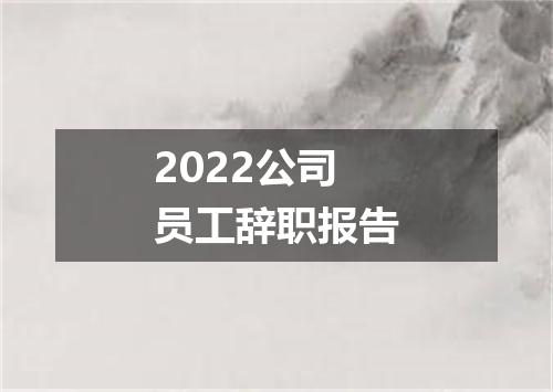 2022公司员工辞职报告