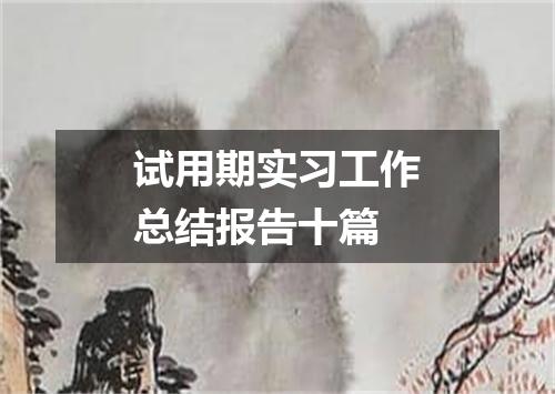 试用期实习工作总结报告十篇