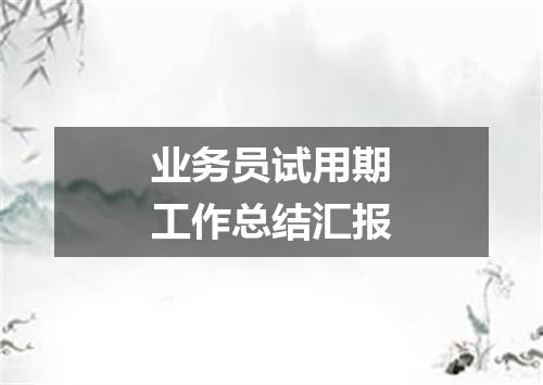 业务员试用期工作总结汇报