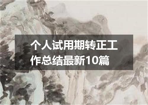 个人试用期转正工作总结最新10篇