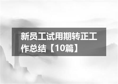 新员工试用期转正工作总结【10篇】