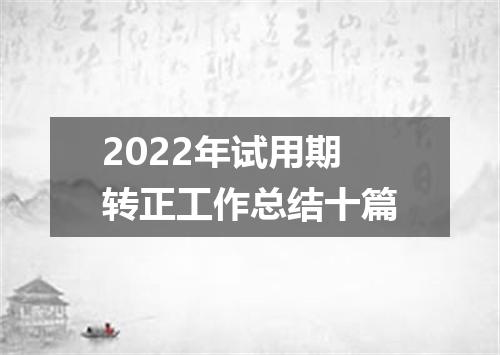 2022年试用期转正工作总结十篇