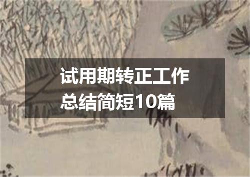 试用期转正工作总结简短10篇