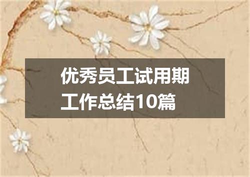 优秀员工试用期工作总结10篇