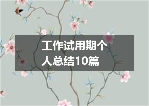 工作试用期个人总结10篇
