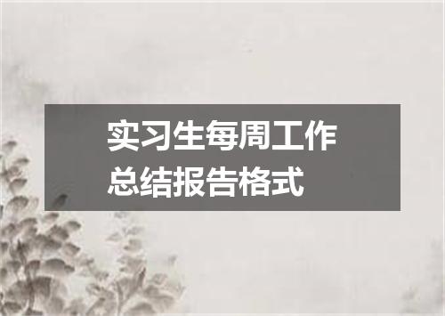 实习生每周工作总结报告格式