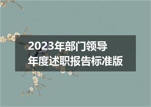 2023年部门领导年度述职报告标准版