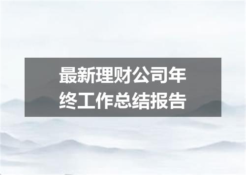 最新理财公司年终工作总结报告