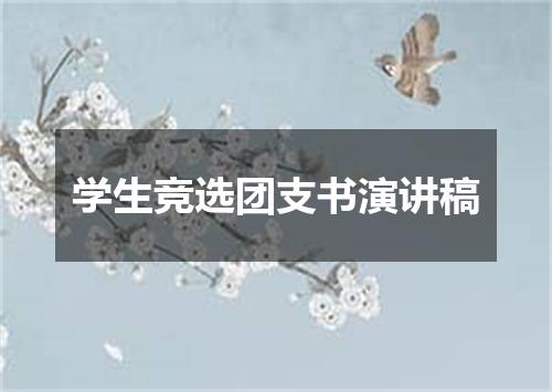 学生竞选团支书演讲稿